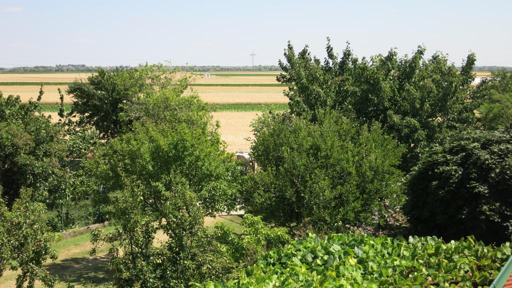 Pension Lang Sankt Andrä bei Frauenkirchen Dış mekan fotoğraf