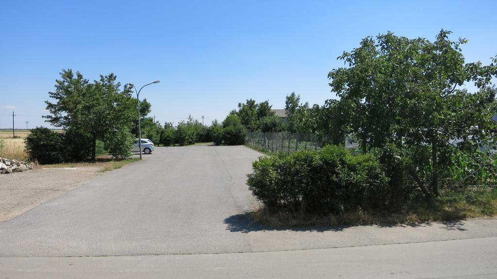 Pension Lang Sankt Andrä bei Frauenkirchen Dış mekan fotoğraf